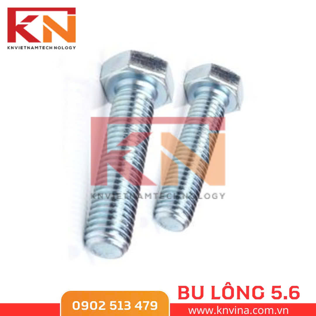 bulong liên kết 5.6